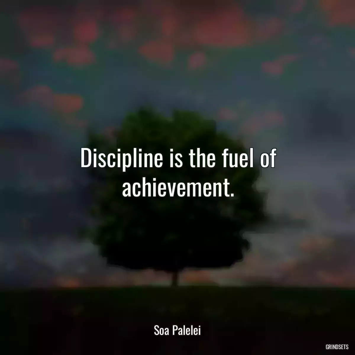 Discipline is the fuel of achievement.