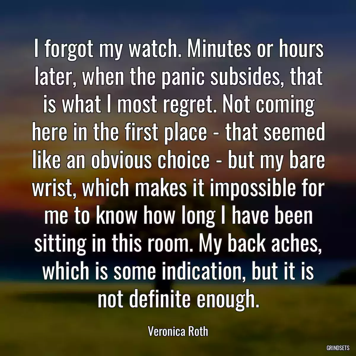 I forgot my watch. Minutes or hours later, when the panic subsides, that is what I most regret. Not coming here in the first place - that seemed like an obvious choice - but my bare wrist, which makes it impossible for me to know how long I have been sitting in this room. My back aches, which is some indication, but it is not definite enough.