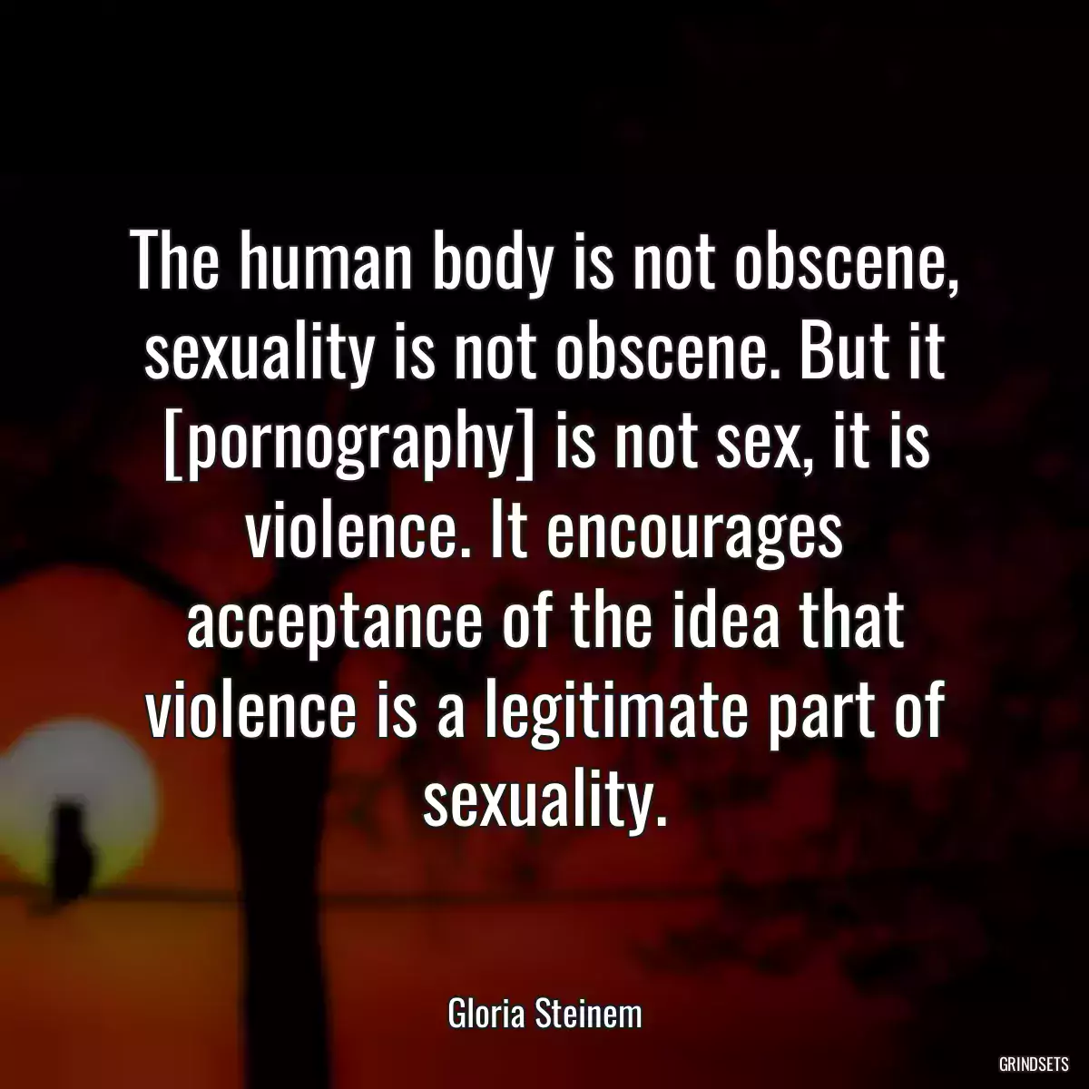 The human body is not obscene, sexuality is not obscene. But it [pornography] is not sex, it is violence. It encourages acceptance of the idea that violence is a legitimate part of sexuality.