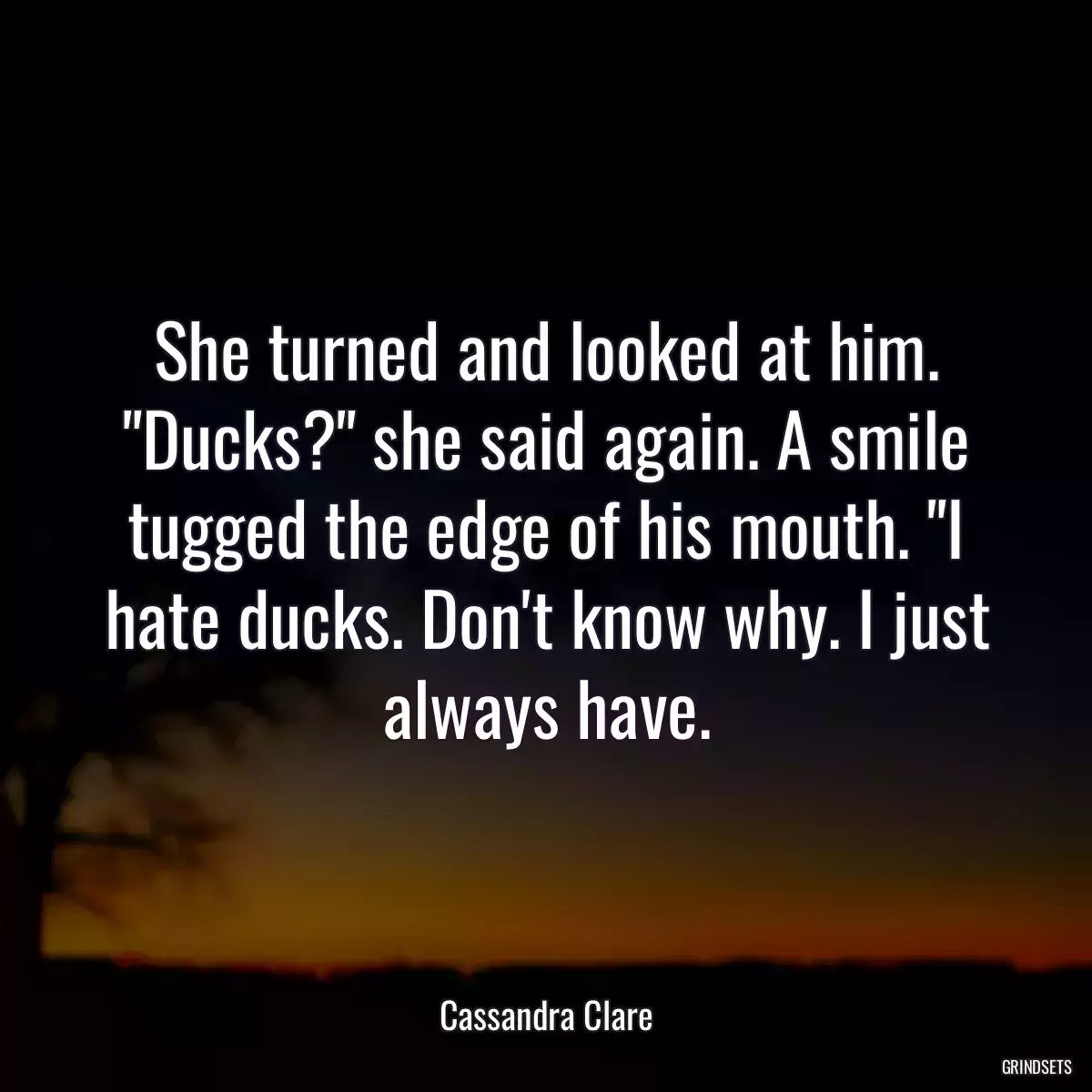 She turned and looked at him. \