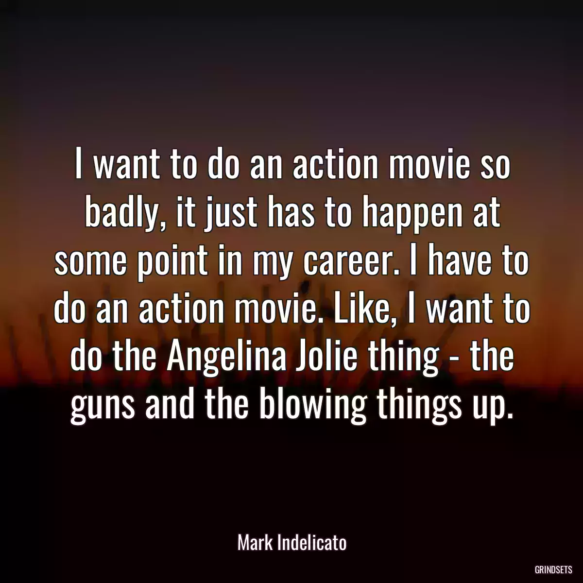 I want to do an action movie so badly, it just has to happen at some point in my career. I have to do an action movie. Like, I want to do the Angelina Jolie thing - the guns and the blowing things up.