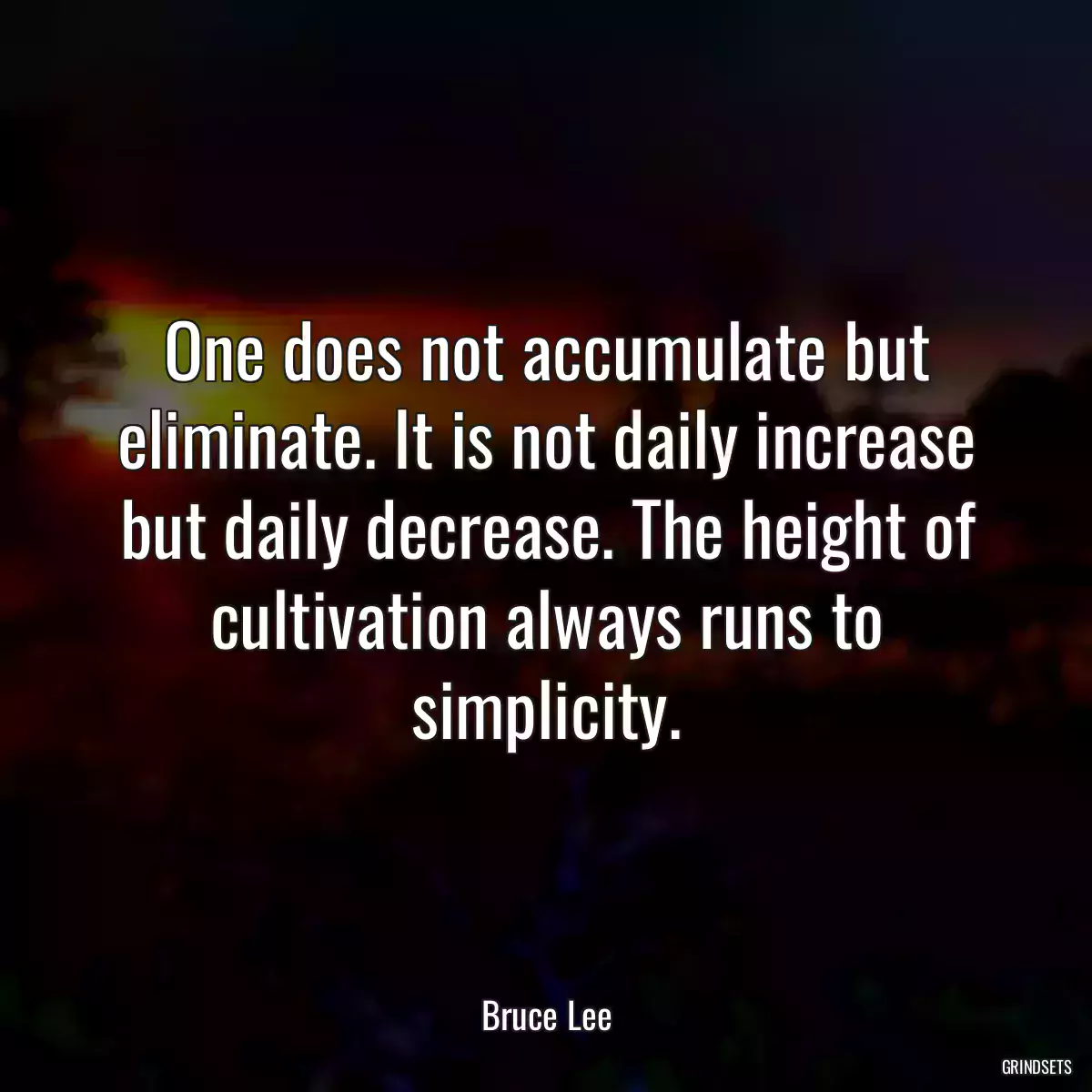 One does not accumulate but eliminate. It is not daily increase but daily decrease. The height of cultivation always runs to simplicity.