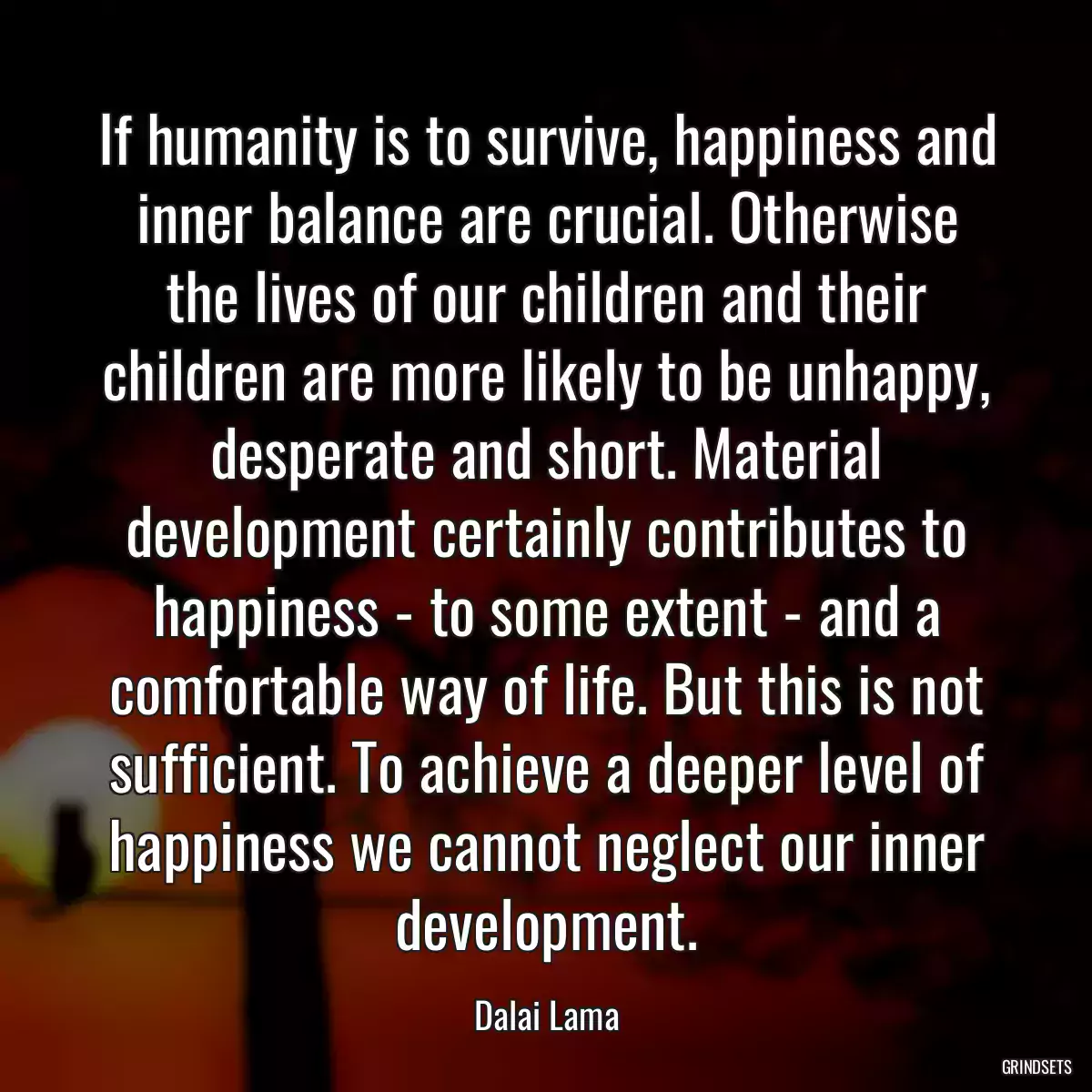 If humanity is to survive, happiness and inner balance are crucial. Otherwise the lives of our children and their children are more likely to be unhappy, desperate and short. Material development certainly contributes to happiness - to some extent - and a comfortable way of life. But this is not sufficient. To achieve a deeper level of happiness we cannot neglect our inner development.