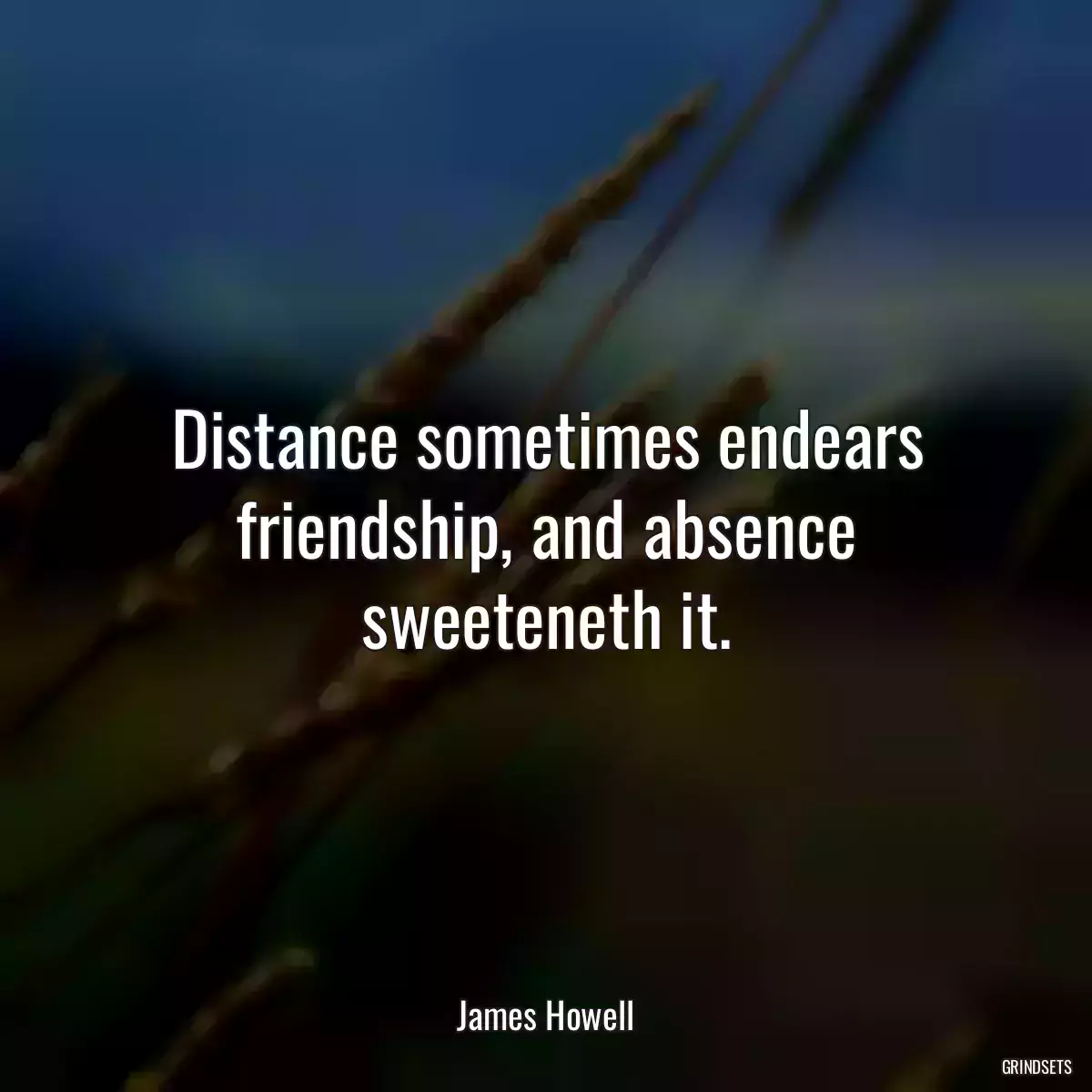 Distance sometimes endears friendship, and absence sweeteneth it.