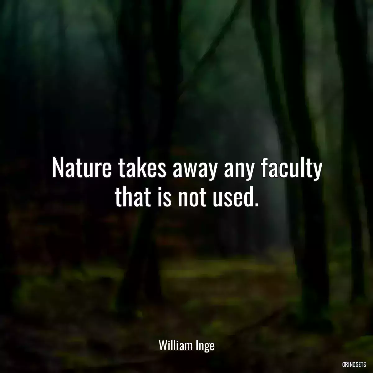 Nature takes away any faculty that is not used.