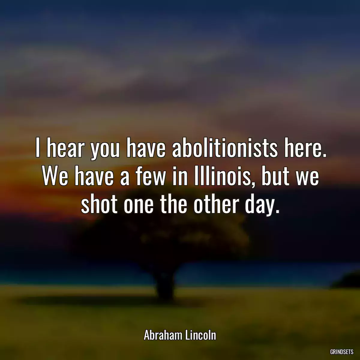 I hear you have abolitionists here. We have a few in Illinois, but we shot one the other day.