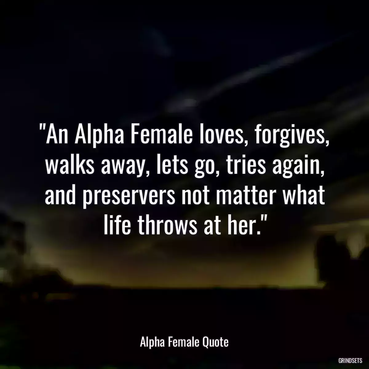 An Alpha Female loves, forgives, walks away, lets go, tries again, and preservers not matter what life throws at her.