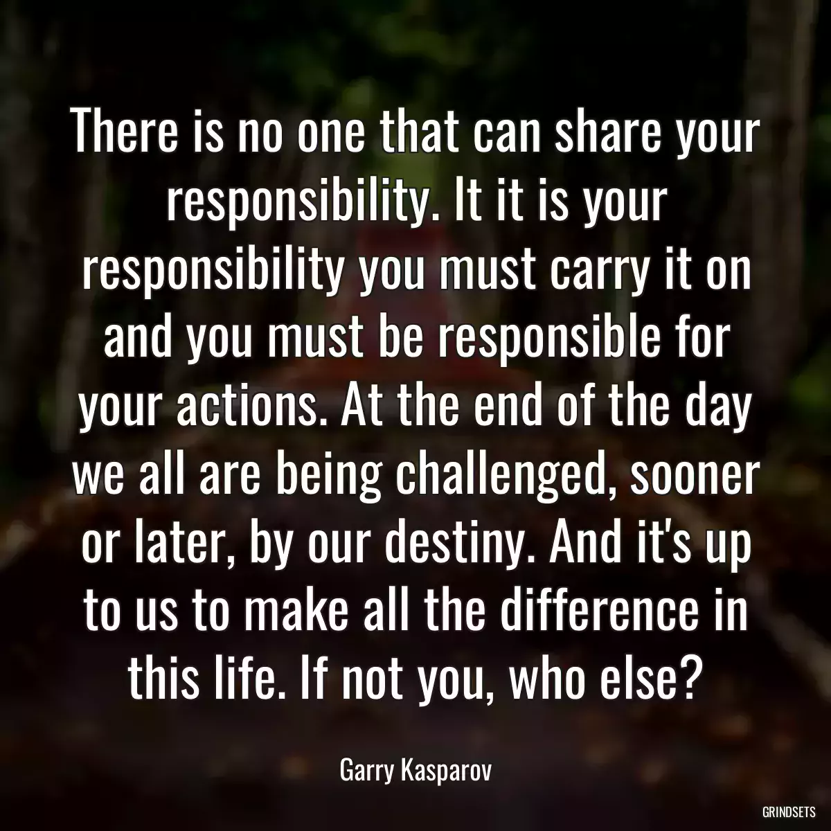 There is no one that can share your responsibility. It it is your responsibility you must carry it on and you must be responsible for your actions. At the end of the day we all are being challenged, sooner or later, by our destiny. And it\'s up to us to make all the difference in this life. If not you, who else?