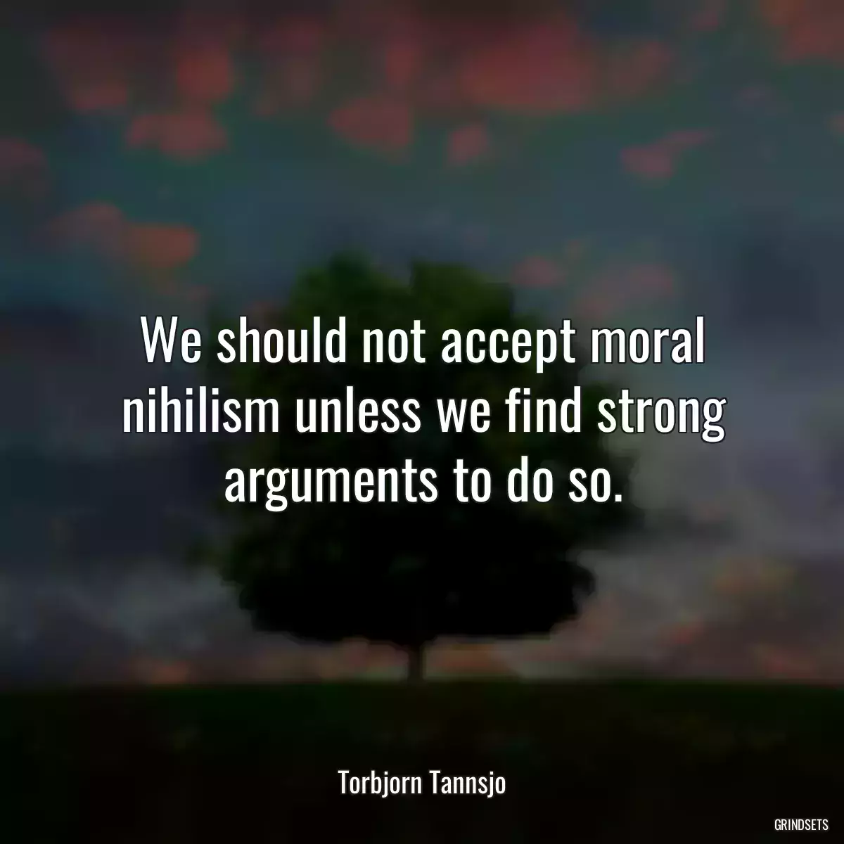 We should not accept moral nihilism unless we find strong arguments to do so.