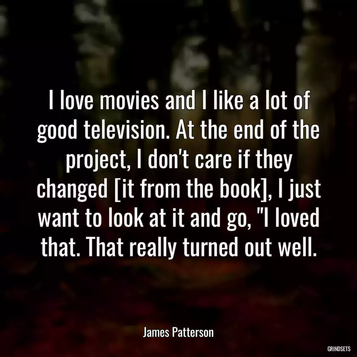 I love movies and I like a lot of good television. At the end of the project, I don\'t care if they changed [it from the book], I just want to look at it and go, \