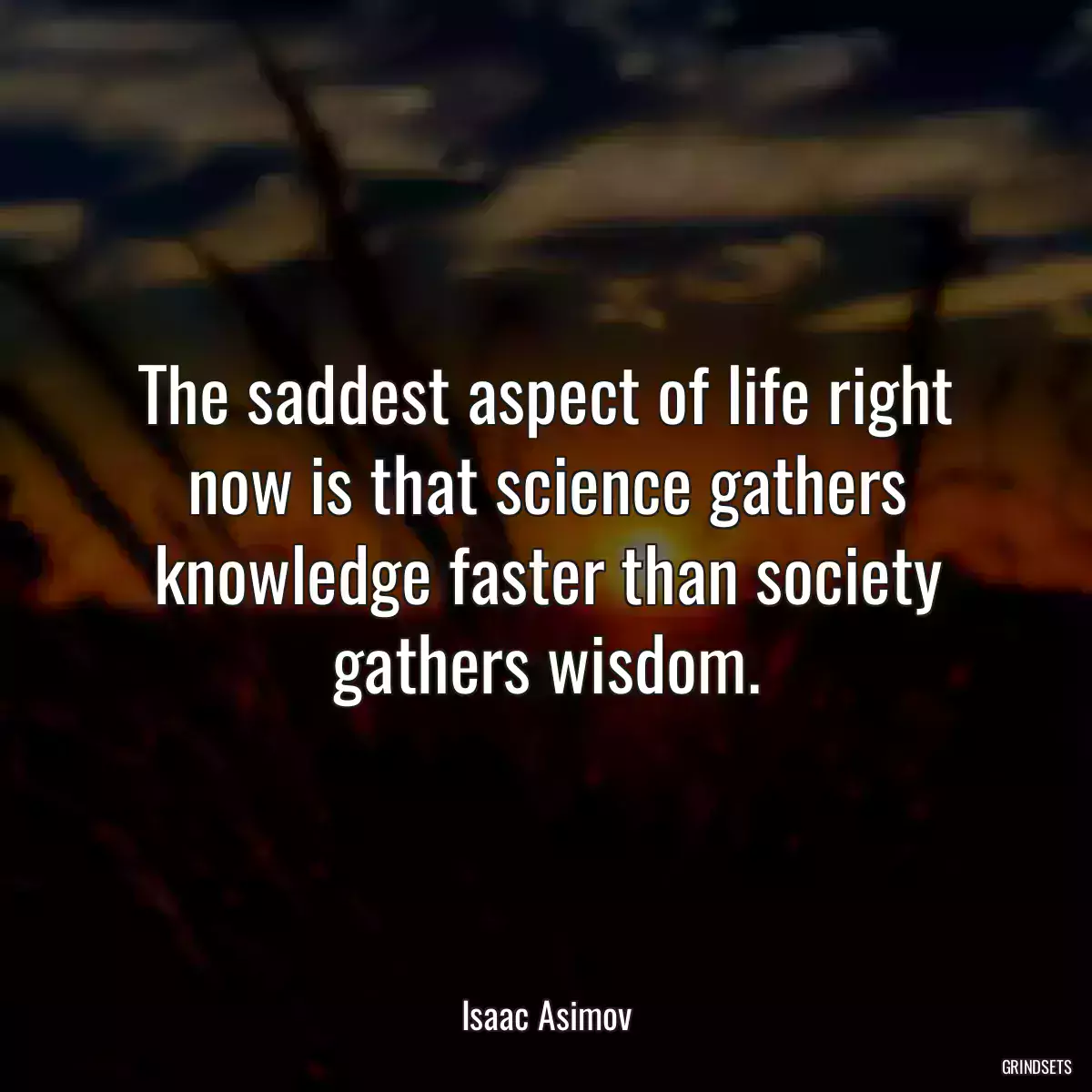 The saddest aspect of life right now is that science gathers knowledge faster than society gathers wisdom.