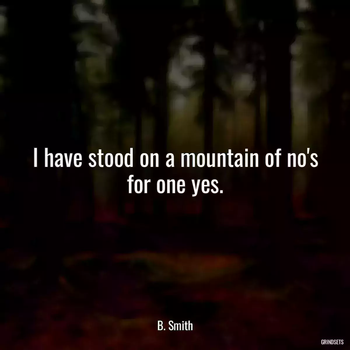 I have stood on a mountain of no\'s for one yes.