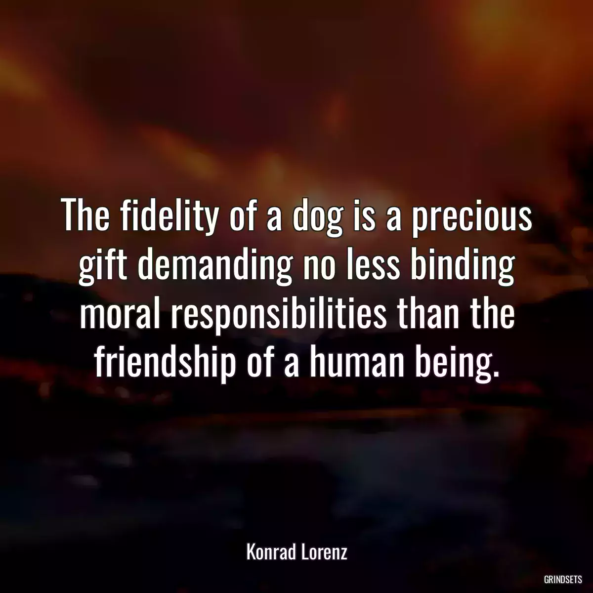 The fidelity of a dog is a precious gift demanding no less binding moral responsibilities than the friendship of a human being.