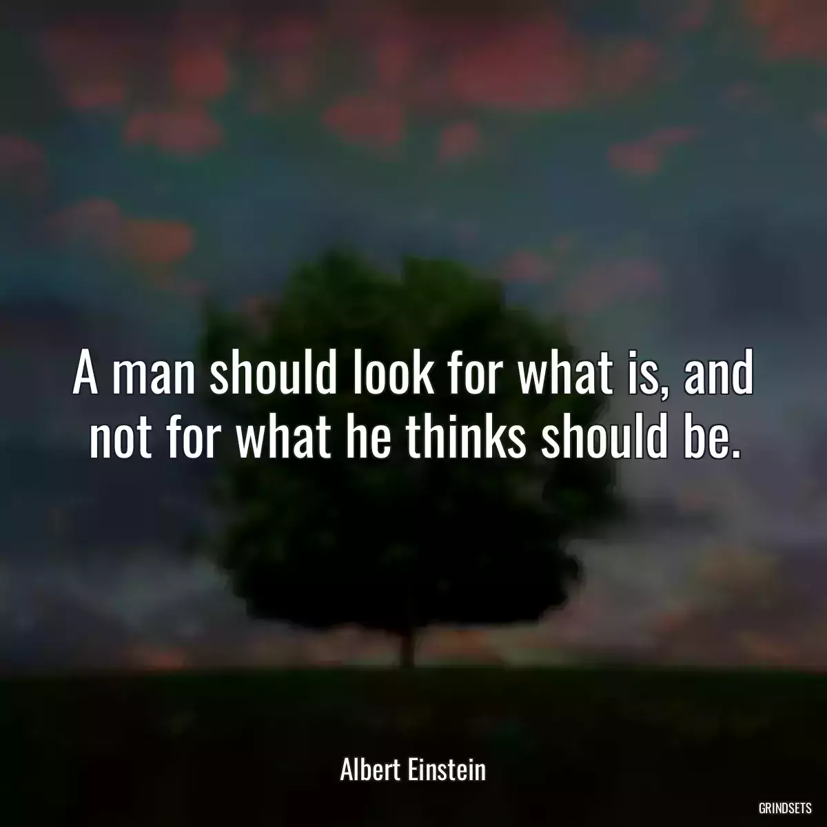 A man should look for what is, and not for what he thinks should be.