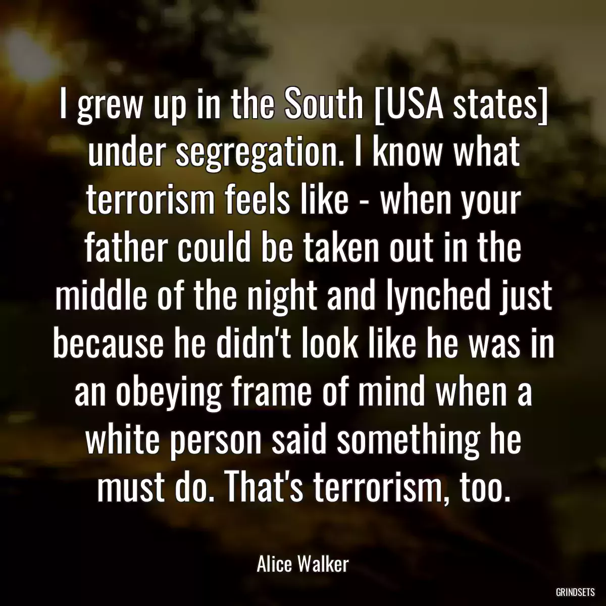 I grew up in the South [USA states] under segregation. I know what terrorism feels like - when your father could be taken out in the middle of the night and lynched just because he didn\'t look like he was in an obeying frame of mind when a white person said something he must do. That\'s terrorism, too.