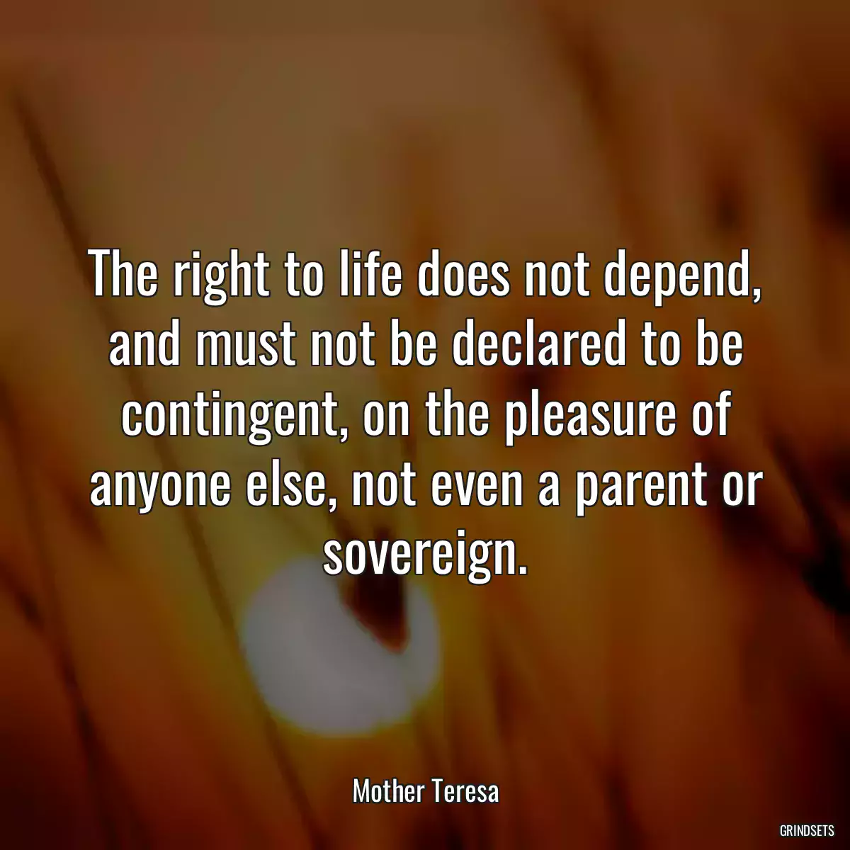 The right to life does not depend, and must not be declared to be contingent, on the pleasure of anyone else, not even a parent or sovereign.