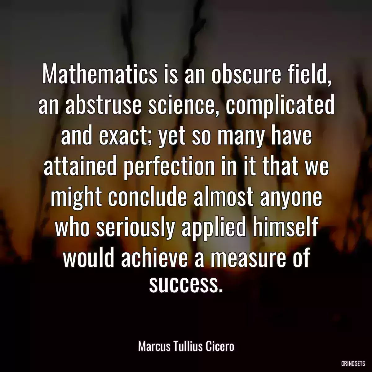 Mathematics is an obscure field, an abstruse science, complicated and exact; yet so many have attained perfection in it that we might conclude almost anyone who seriously applied himself would achieve a measure of success.