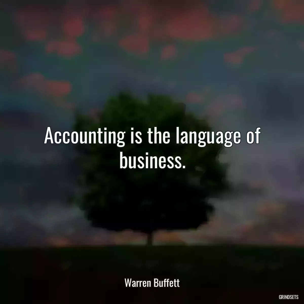 Accounting is the language of business.