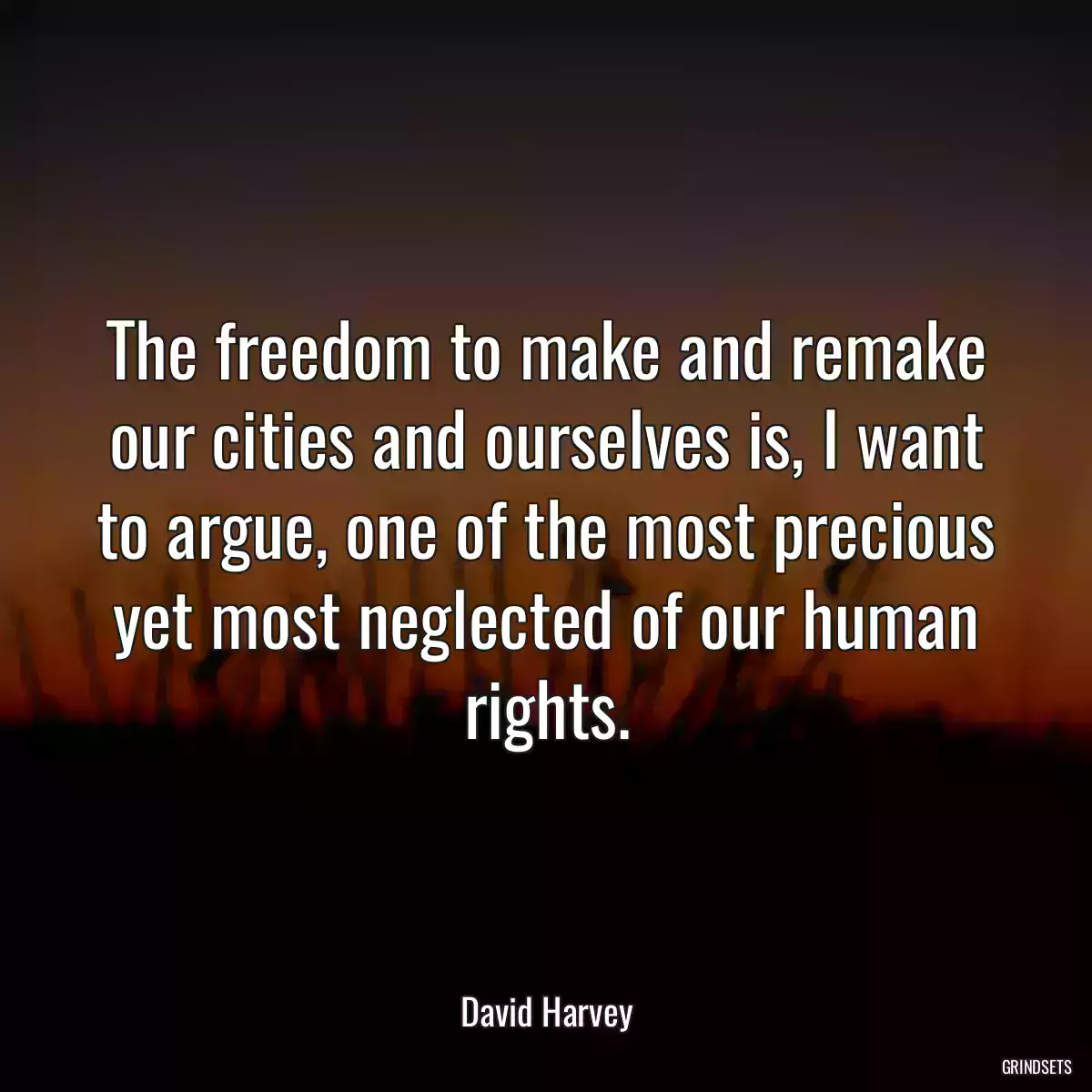 The freedom to make and remake our cities and ourselves is, I want to argue, one of the most precious yet most neglected of our human rights.