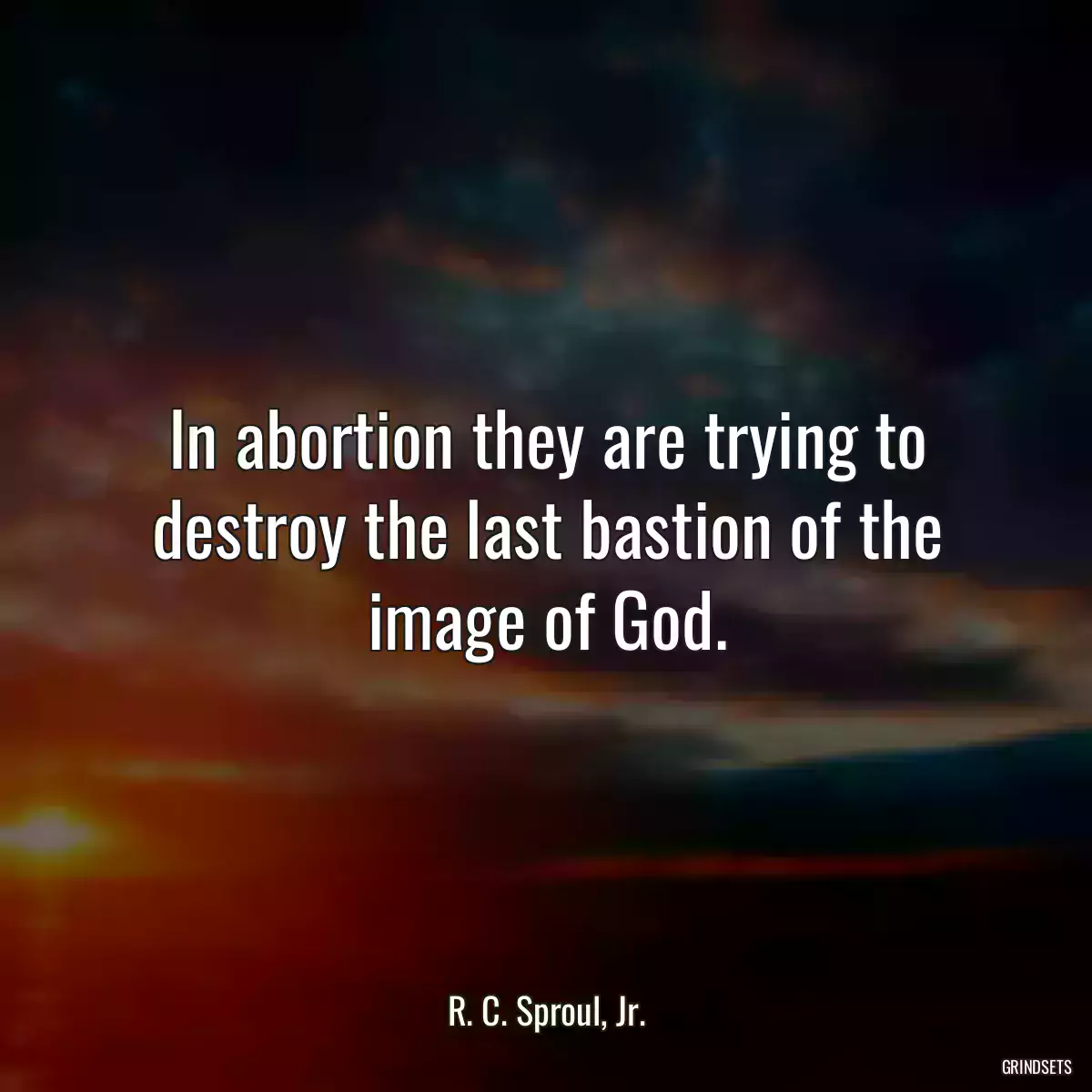 In abortion they are trying to destroy the last bastion of the image of God.