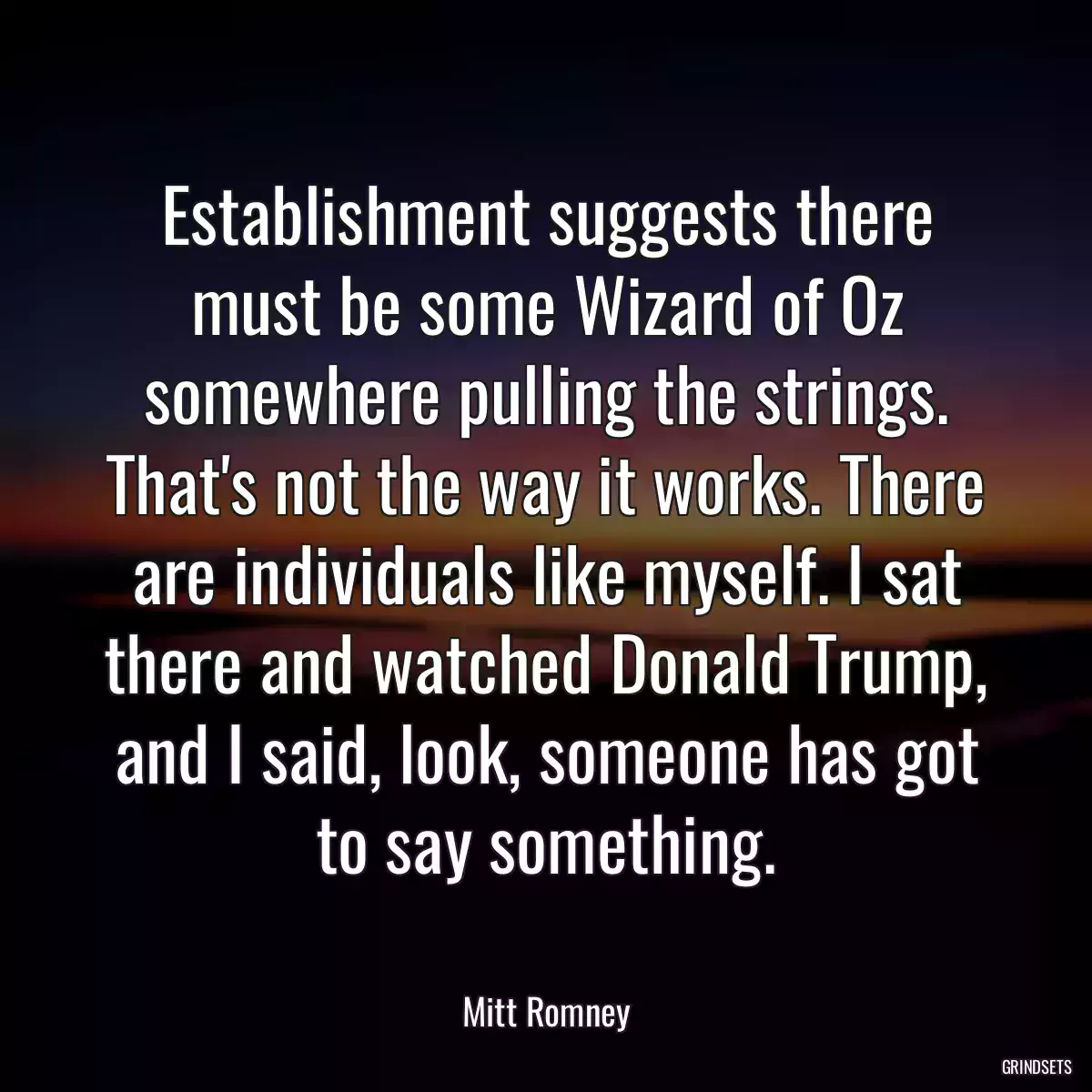 Establishment suggests there must be some Wizard of Oz somewhere pulling the strings. That\'s not the way it works. There are individuals like myself. I sat there and watched Donald Trump, and I said, look, someone has got to say something.