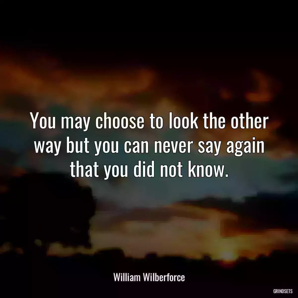 You may choose to look the other way but you can never say again that you did not know.