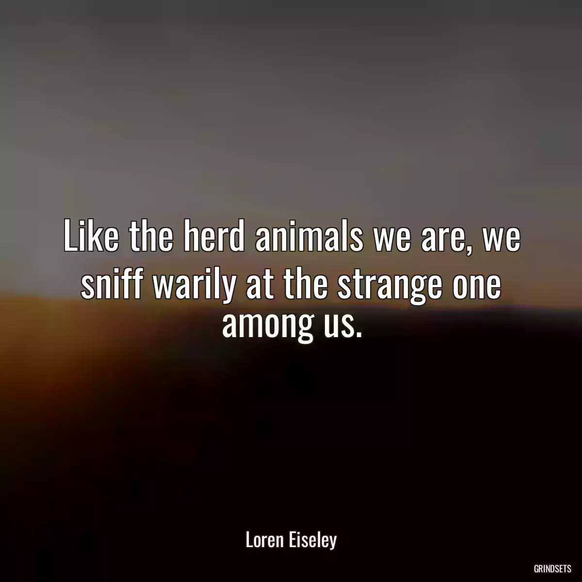 Like the herd animals we are, we sniff warily at the strange one among us.