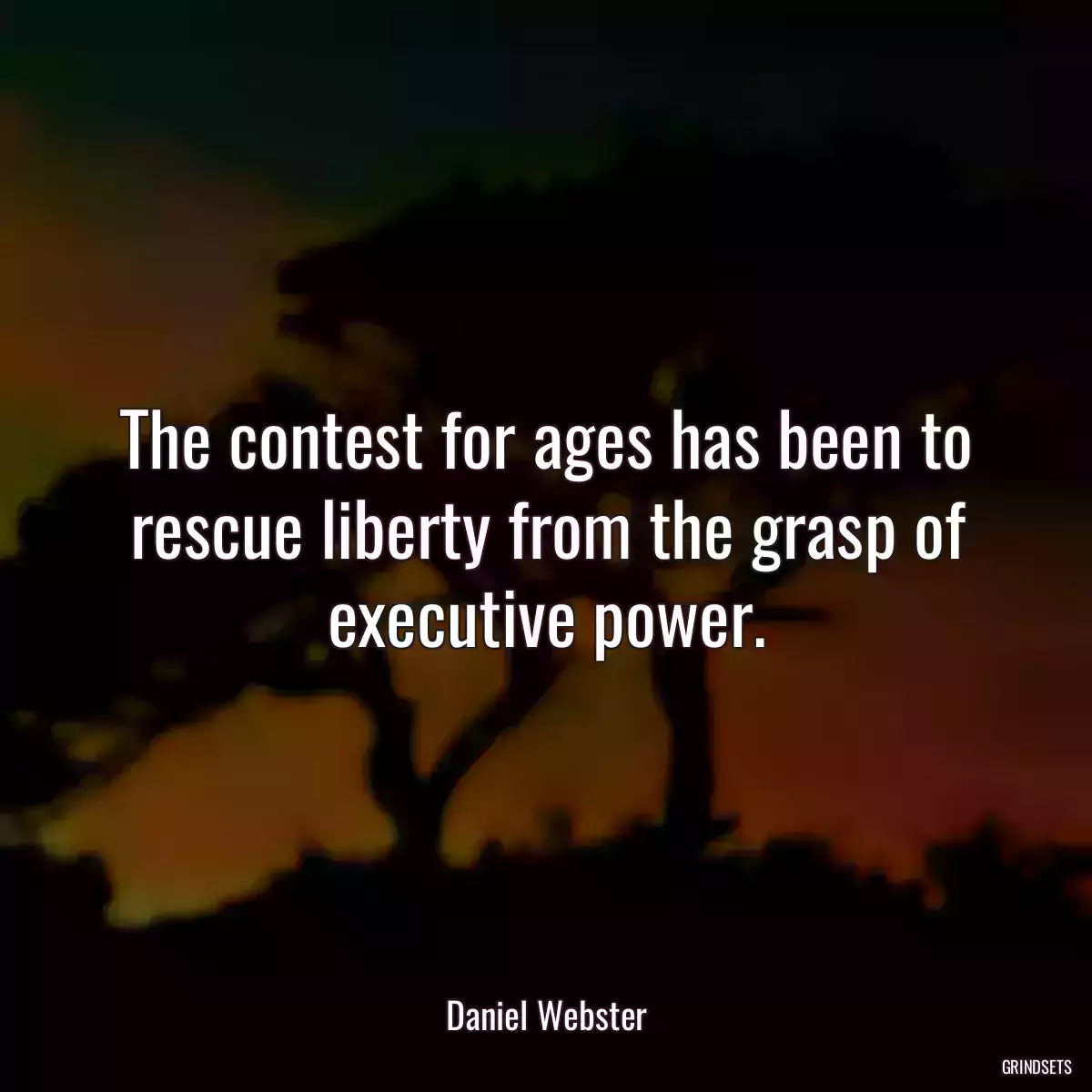 The contest for ages has been to rescue liberty from the grasp of executive power.