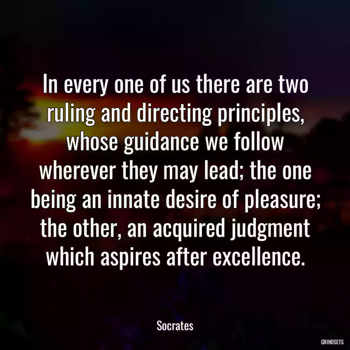 In every one of us there are two ruling and directing principles, whose guidance we follow wherever they may lead; the one being an innate desire of pleasure; the other, an acquired judgment which aspires after excellence.