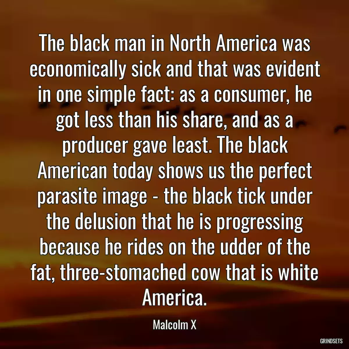 The black man in North America was economically sick and that was evident in one simple fact: as a consumer, he got less than his share, and as a producer gave least. The black American today shows us the perfect parasite image - the black tick under the delusion that he is progressing because he rides on the udder of the fat, three-stomached cow that is white America.