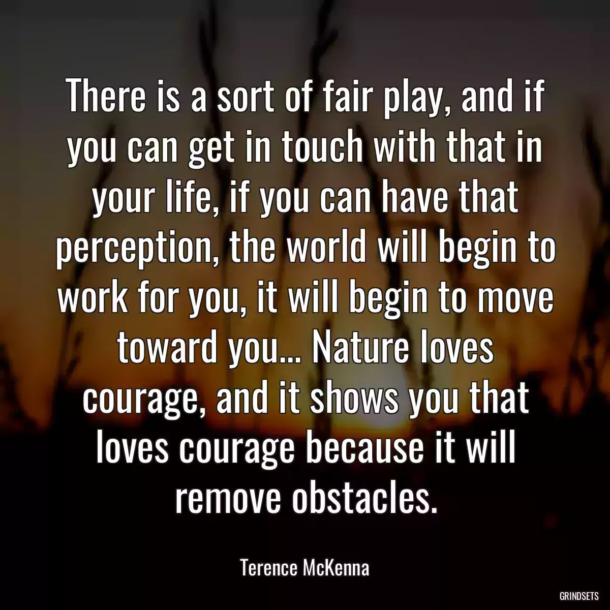 There is a sort of fair play, and if you can get in touch with that in your life, if you can have that perception, the world will begin to work for you, it will begin to move toward you... Nature loves courage, and it shows you that loves courage because it will remove obstacles.