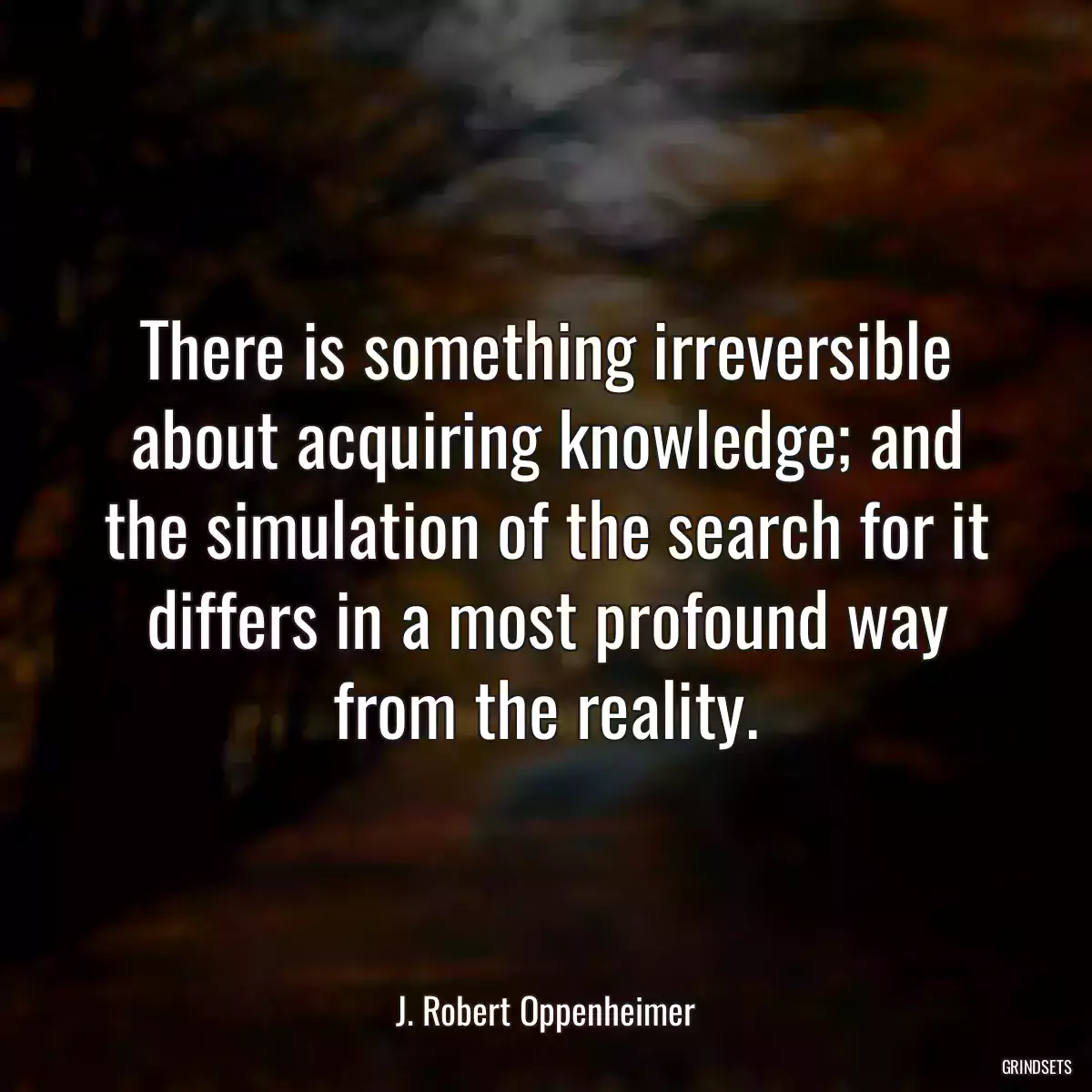 There is something irreversible about acquiring knowledge; and the simulation of the search for it differs in a most profound way from the reality.