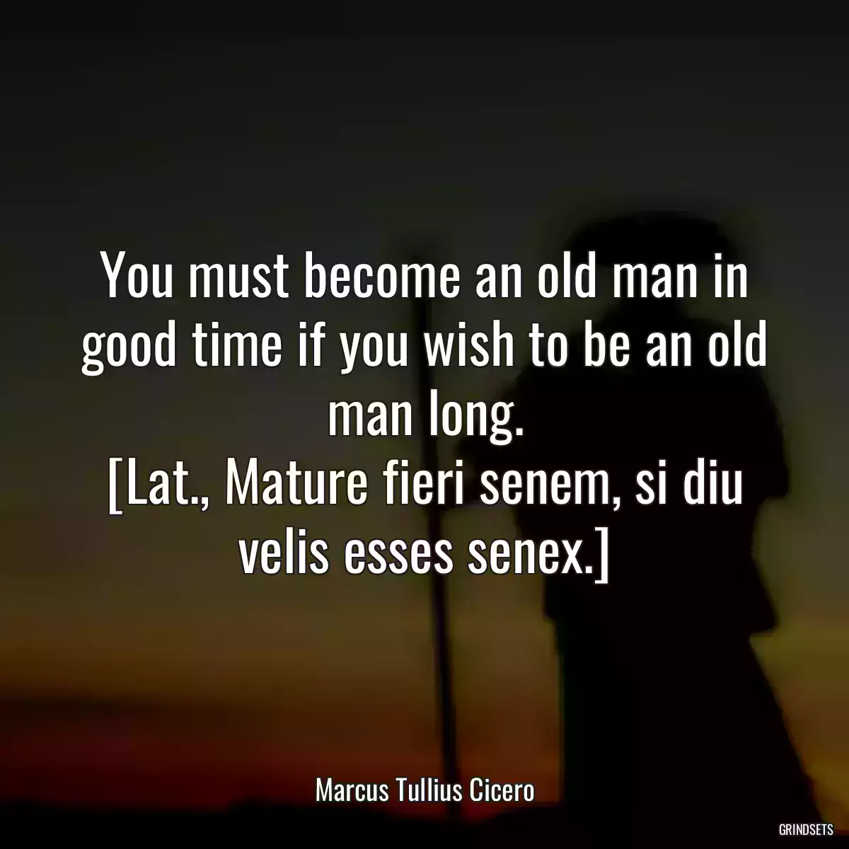 You must become an old man in good time if you wish to be an old man long.
[Lat., Mature fieri senem, si diu velis esses senex.]