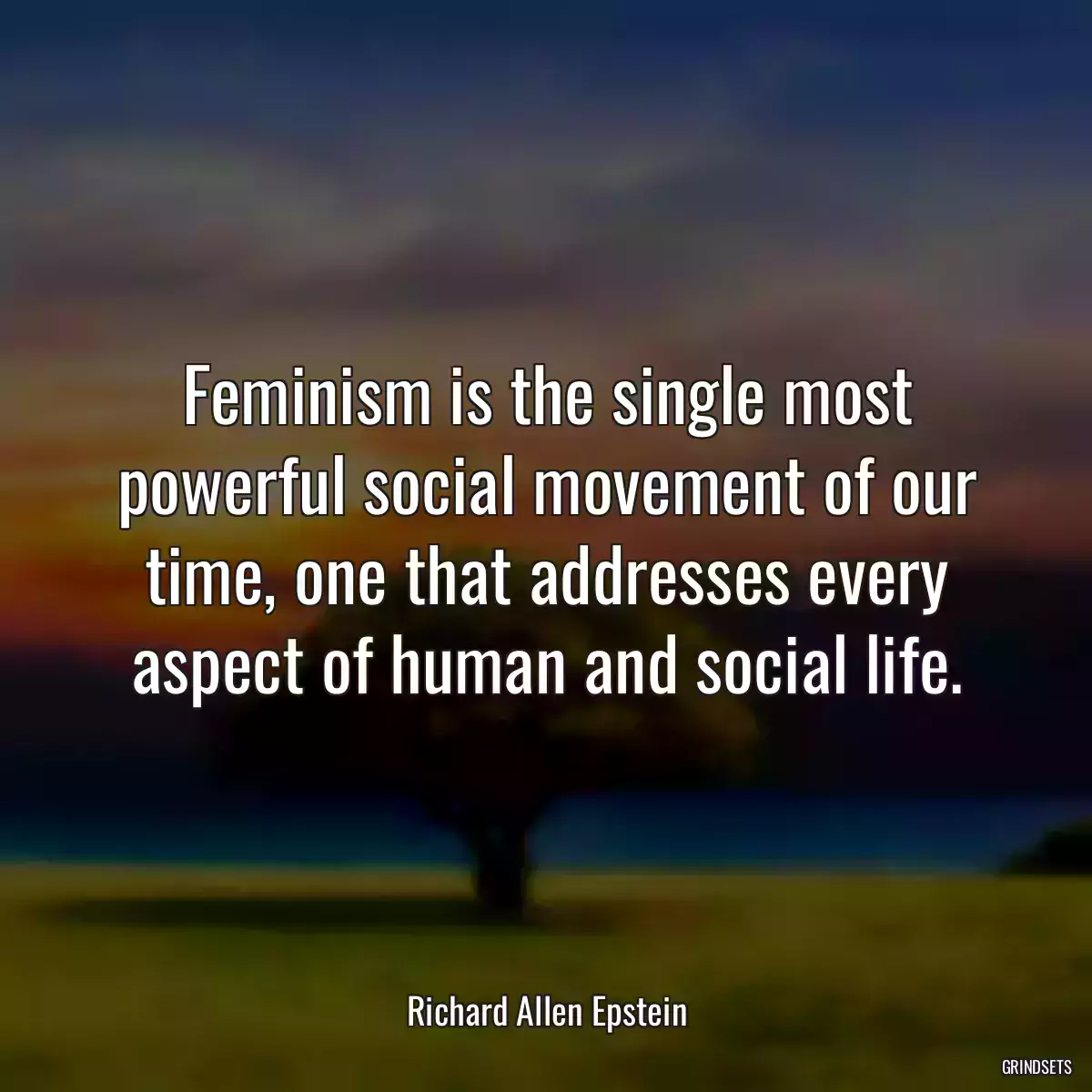 Feminism is the single most powerful social movement of our time, one that addresses every aspect of human and social life.