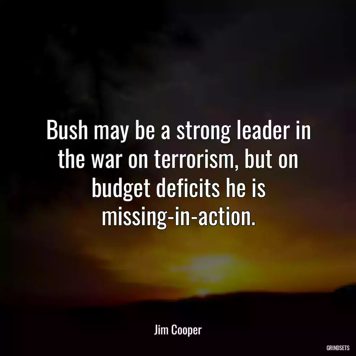 Bush may be a strong leader in the war on terrorism, but on budget deficits he is missing-in-action.