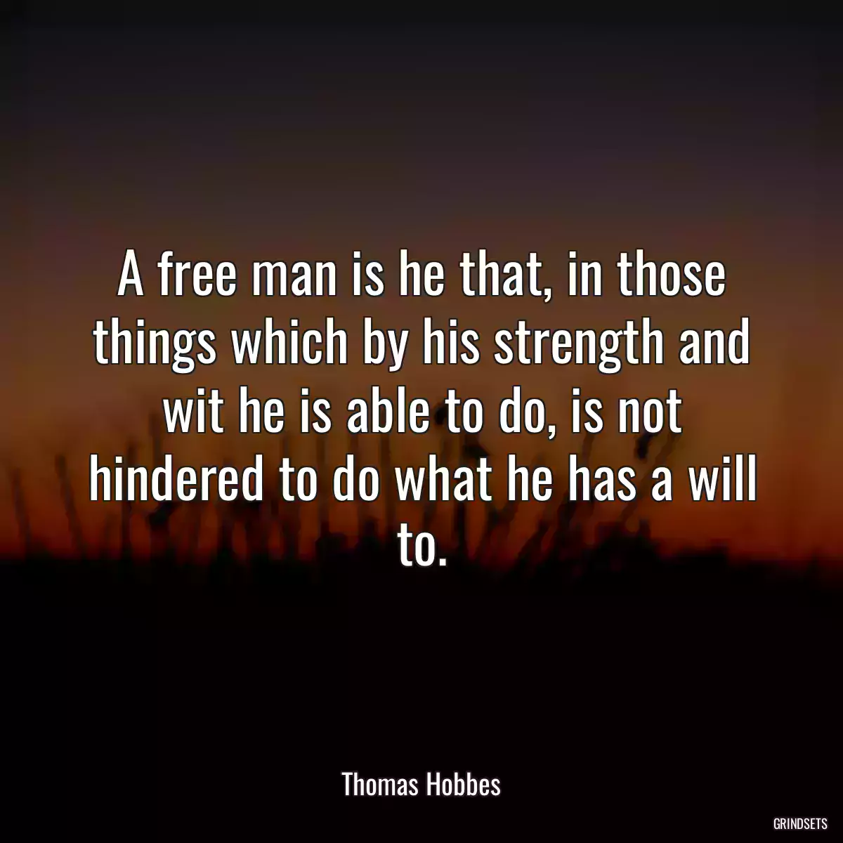 A free man is he that, in those things which by his strength and wit he is able to do, is not hindered to do what he has a will to.