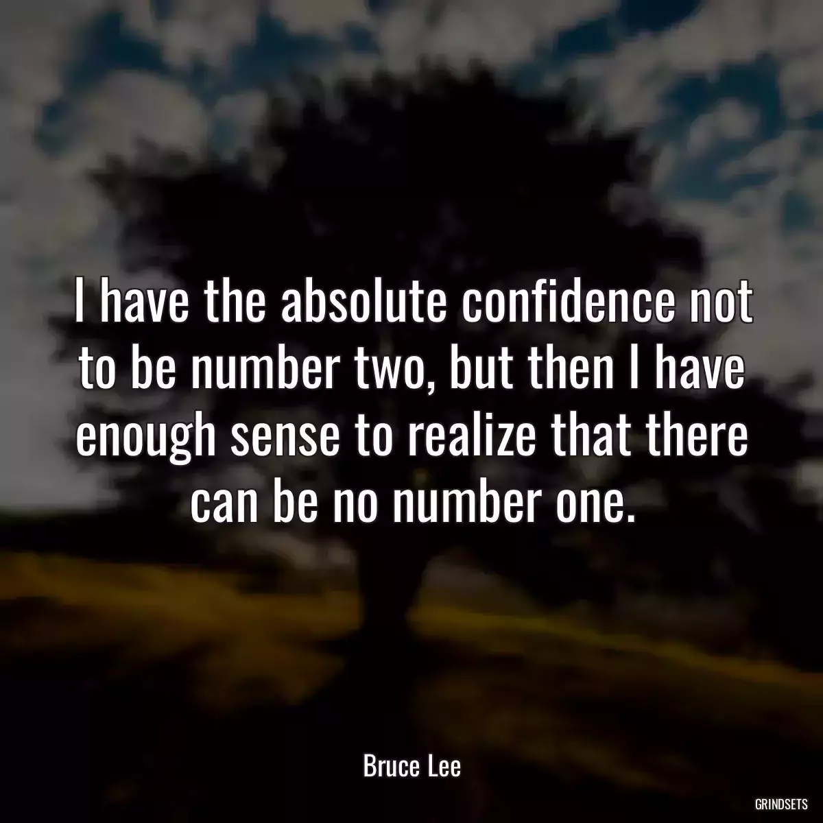 I have the absolute confidence not to be number two, but then I have enough sense to realize that there can be no number one.