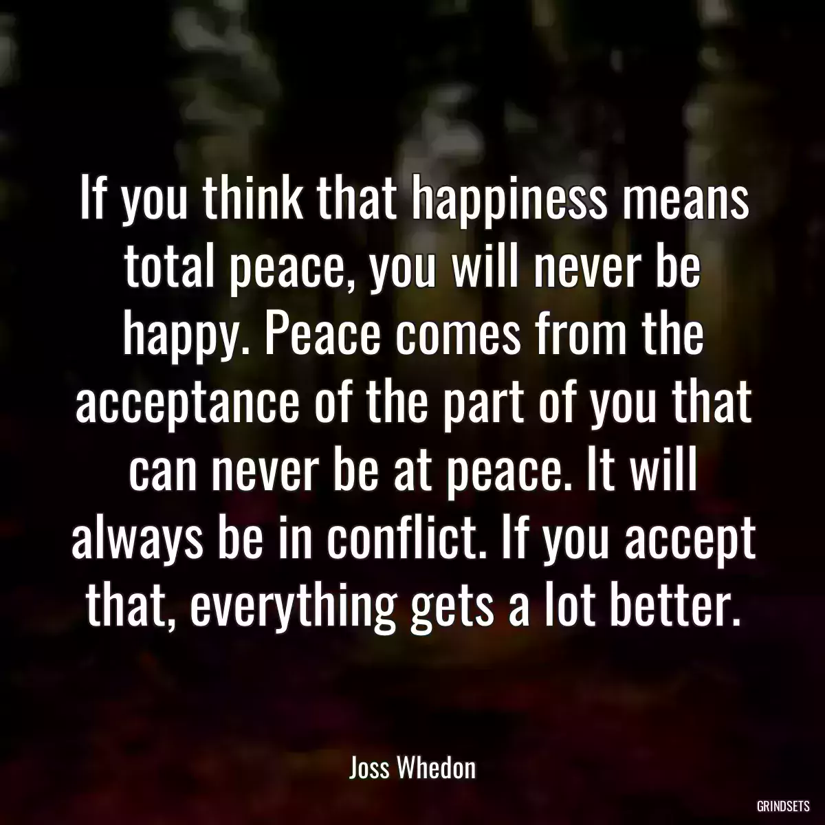 If you think that happiness means total peace, you will never be happy. Peace comes from the acceptance of the part of you that can never be at peace. It will always be in conflict. If you accept that, everything gets a lot better.