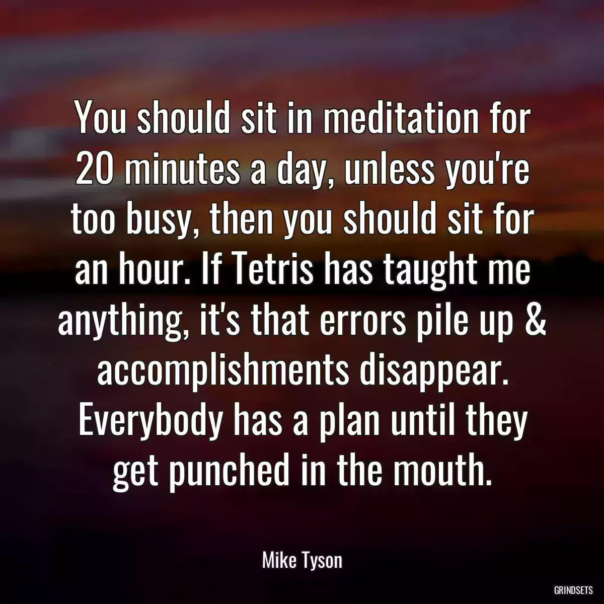 You should sit in meditation for 20 minutes a day, unless you\'re too busy, then you should sit for an hour. If Tetris has taught me anything, it\'s that errors pile up & accomplishments disappear. Everybody has a plan until they get punched in the mouth.