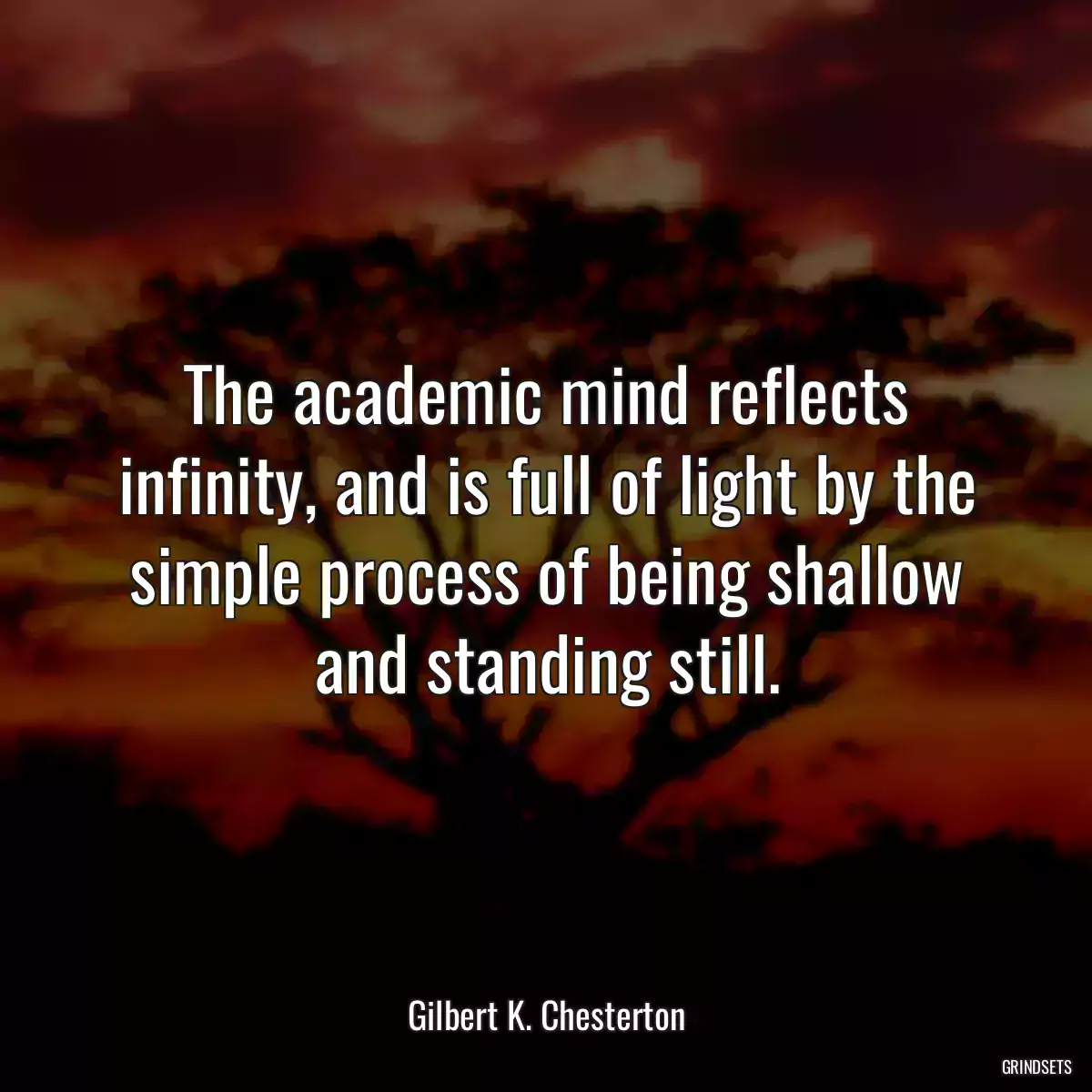 The academic mind reflects infinity, and is full of light by the simple process of being shallow and standing still.