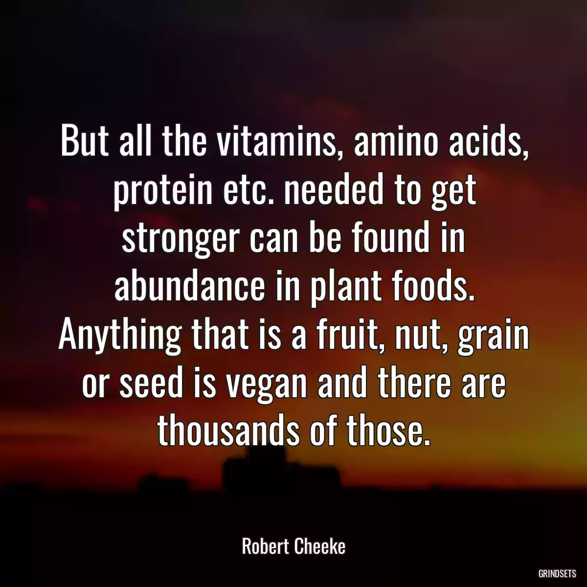 But all the vitamins, amino acids, protein etc. needed to get stronger can be found in abundance in plant foods. Anything that is a fruit, nut, grain or seed is vegan and there are thousands of those.