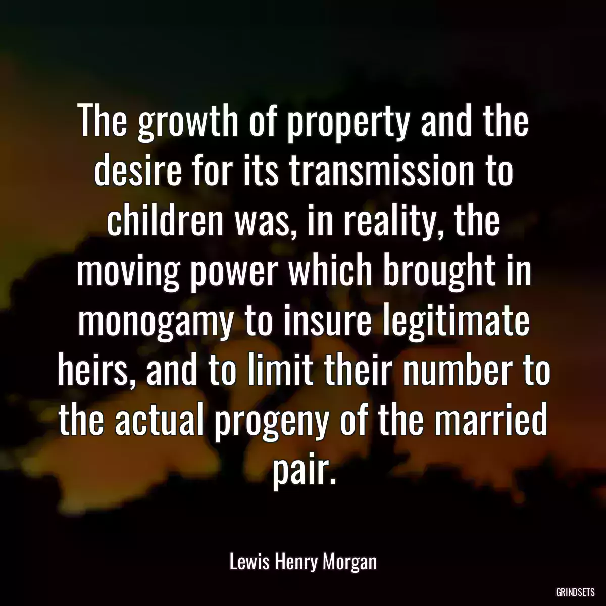 The growth of property and the desire for its transmission to children was, in reality, the moving power which brought in monogamy to insure legitimate heirs, and to limit their number to the actual progeny of the married pair.