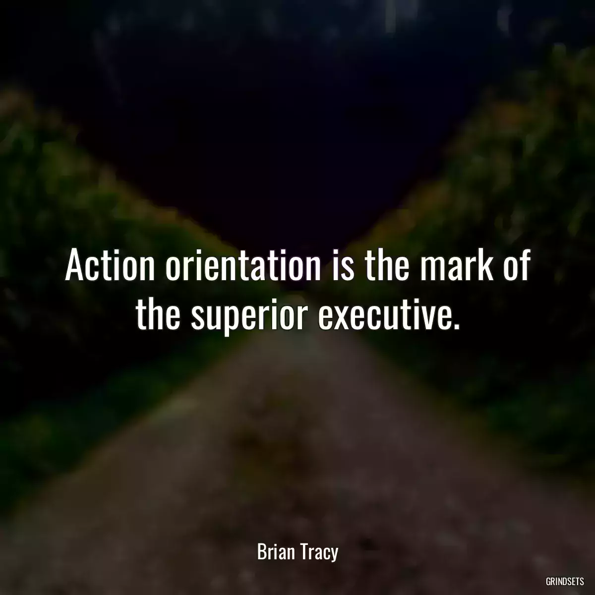 Action orientation is the mark of the superior executive.