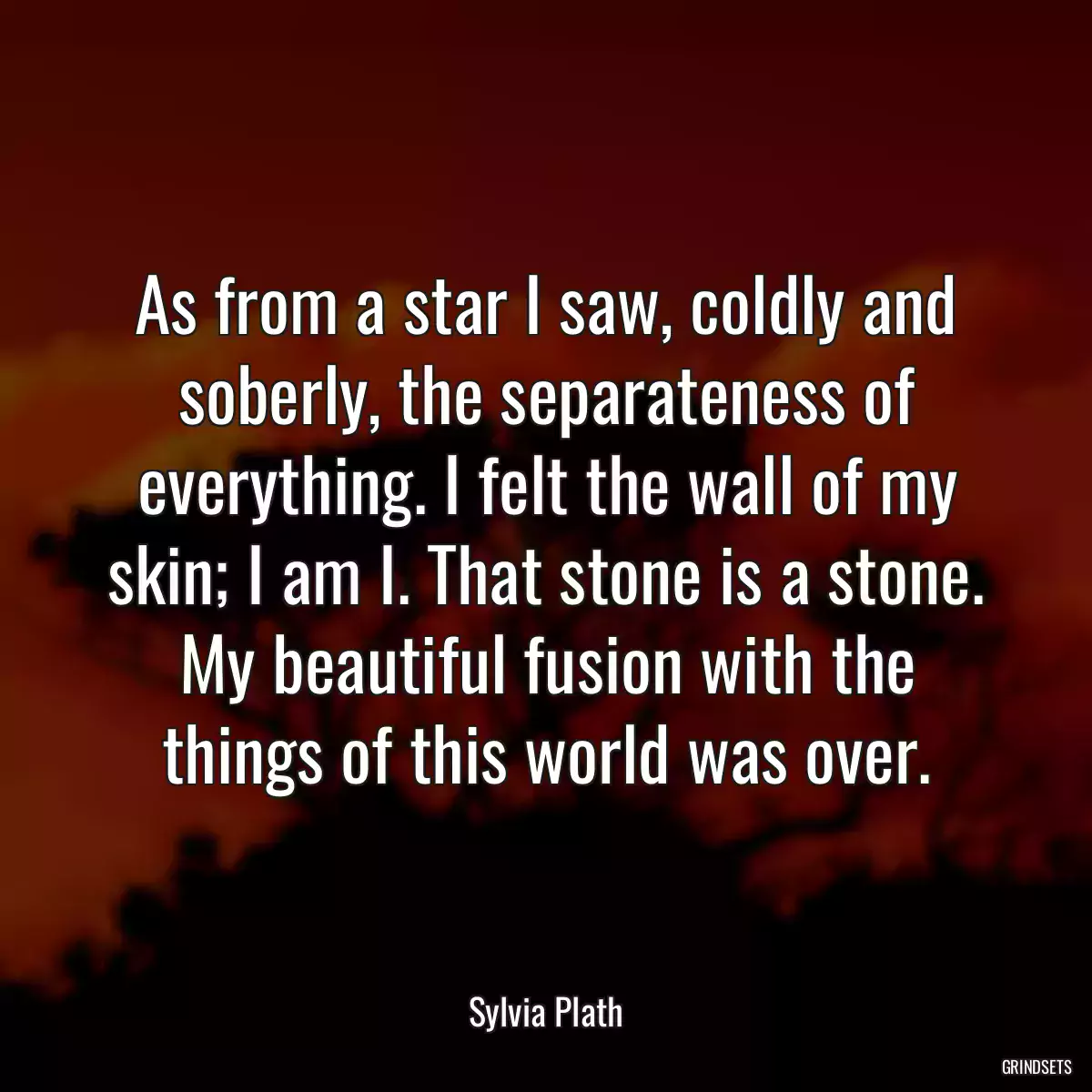 As from a star I saw, coldly and soberly, the separateness of everything. I felt the wall of my skin; I am I. That stone is a stone. My beautiful fusion with the things of this world was over.