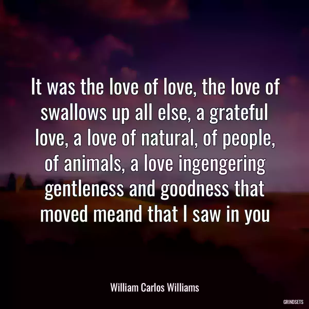 It was the love of love, the love of swallows up all else, a grateful love, a love of natural, of people, of animals, a love ingengering gentleness and goodness that moved meand that I saw in you