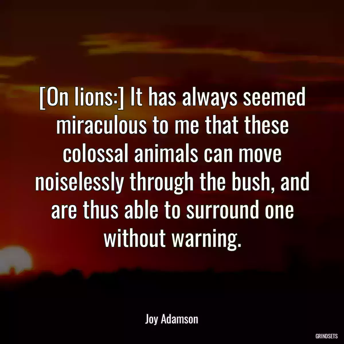 [On lions:] It has always seemed miraculous to me that these colossal animals can move noiselessly through the bush, and are thus able to surround one without warning.