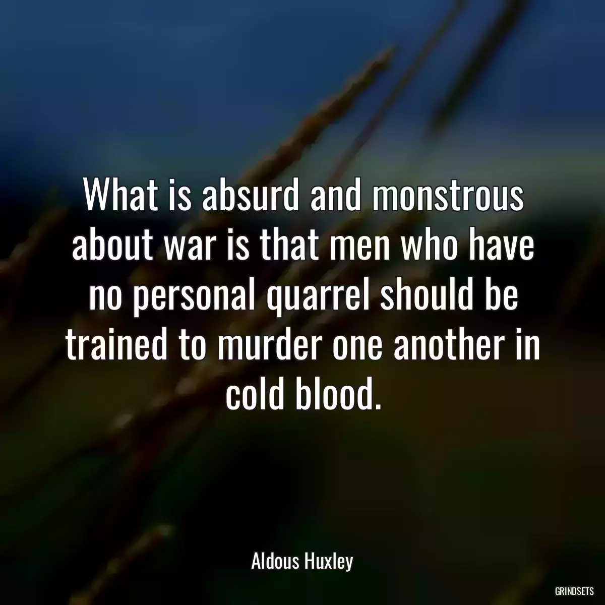 What is absurd and monstrous about war is that men who have no personal quarrel should be trained to murder one another in cold blood.