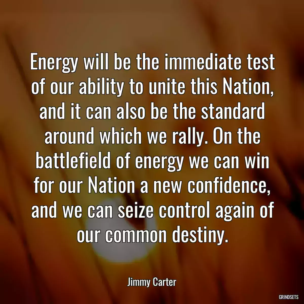 Energy will be the immediate test of our ability to unite this Nation, and it can also be the standard around which we rally. On the battlefield of energy we can win for our Nation a new confidence, and we can seize control again of our common destiny.