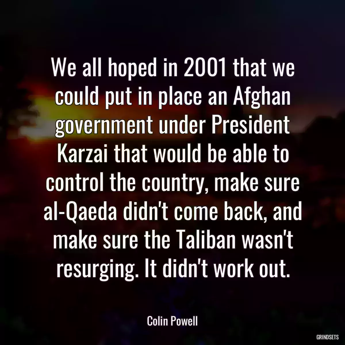 We all hoped in 2001 that we could put in place an Afghan government under President Karzai that would be able to control the country, make sure al-Qaeda didn\'t come back, and make sure the Taliban wasn\'t resurging. It didn\'t work out.