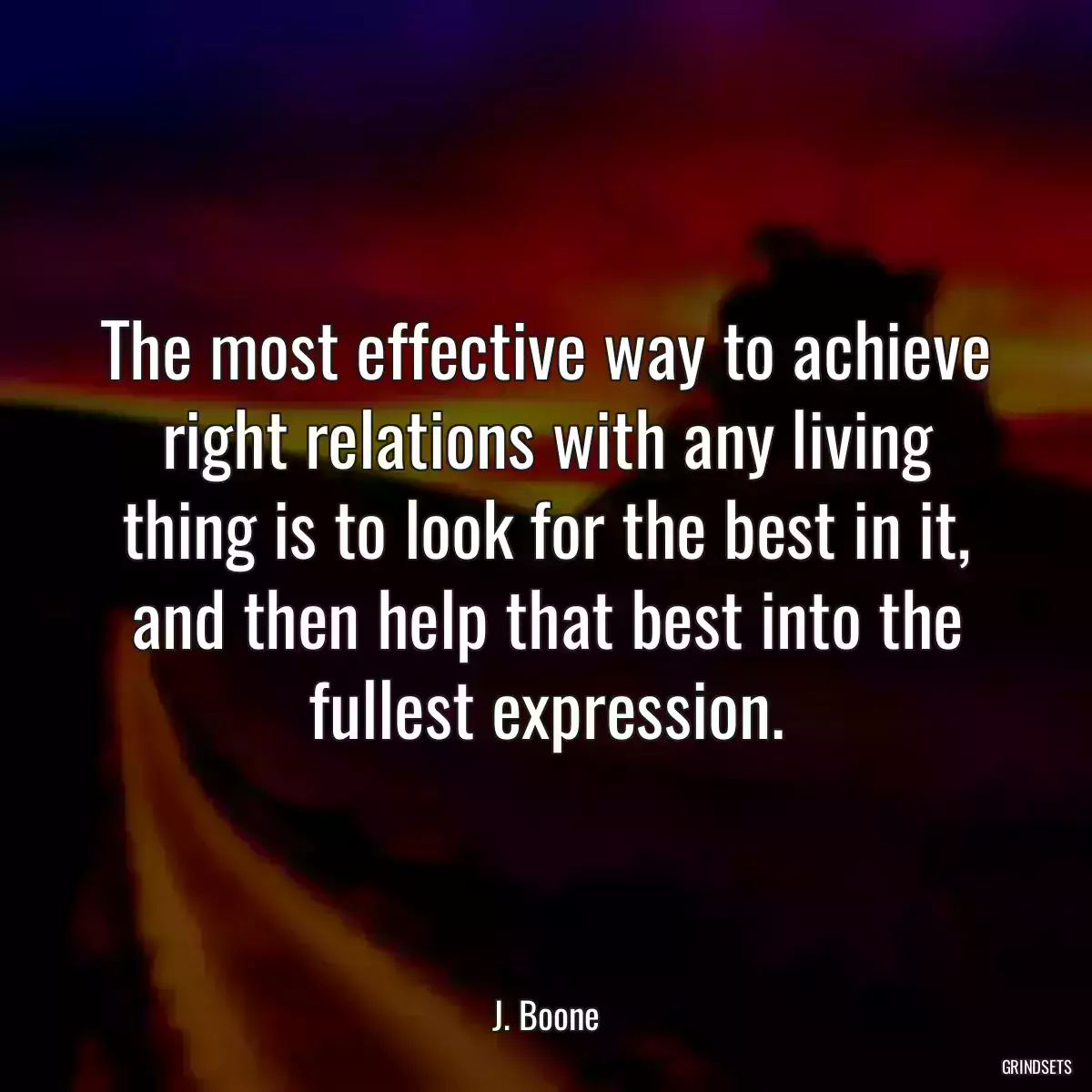 The most effective way to achieve right relations with any living thing is to look for the best in it, and then help that best into the fullest expression.